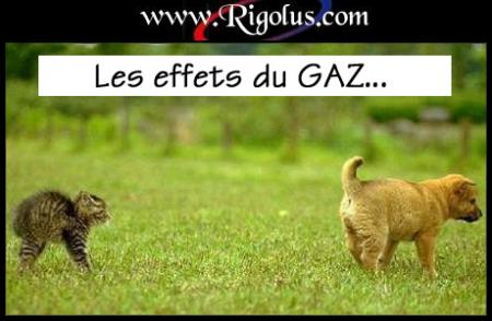 les effets du gaz